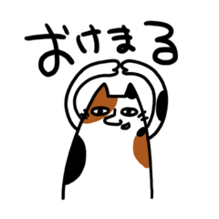 [LINEスタンプ] 首の太い猫 いい感じに使えるver.