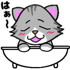 [LINEスタンプ] 日常で使える⭐ちょっと目つきの悪い猫4