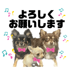 [LINEスタンプ] ピノパルラテスタンプ
