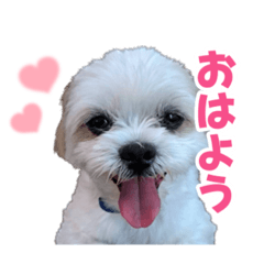 [LINEスタンプ] そらくんともやし