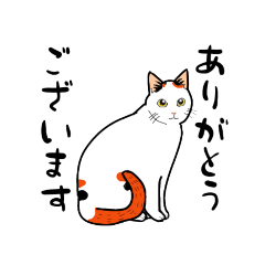 [LINEスタンプ] みけねこ、みっけ♪