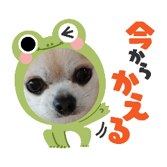 [LINEスタンプ] 428 スタンプ（2）