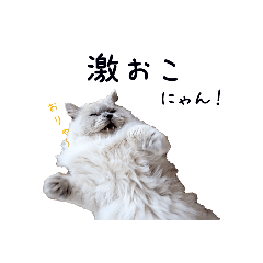 [LINEスタンプ] モアナとぎんじ part2