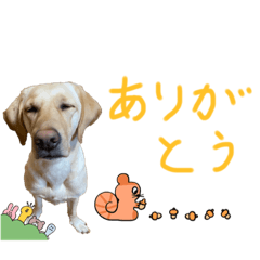 [LINEスタンプ] 二分の二回目のまめ