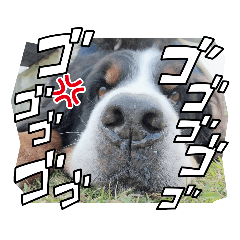 [LINEスタンプ] Eriiのまりぐれ