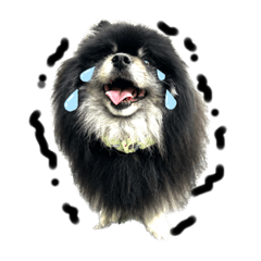 [LINEスタンプ] 黒モフ3