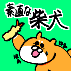 [LINEスタンプ] 素直な柴犬