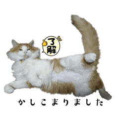 [LINEスタンプ] めあごろう4の画像（メイン）