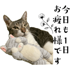 [LINEスタンプ] ボクは大ちゃん3