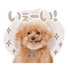 [LINEスタンプ] スーパーニートこてつ♀2
