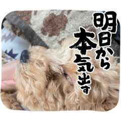 [LINEスタンプ] 向葵すたんぷっ