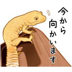 [LINEスタンプ] もろのすたんぷ
