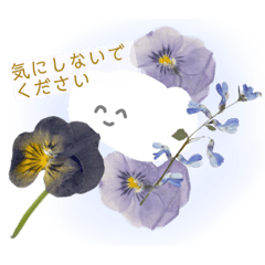 [LINEスタンプ] よく使うひとこと・あいさつ もふもふ押花