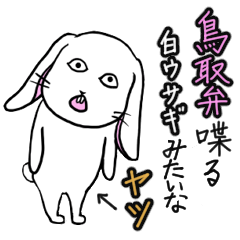 [LINEスタンプ] 鳥取弁喋る白ウサギみたいなヤツ (修正版)