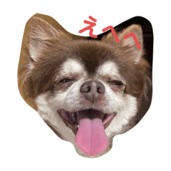 [LINEスタンプ] こてつの日常スタンプ。