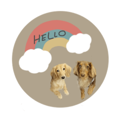 [LINEスタンプ] ♡あこ様