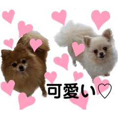 [LINEスタンプ] 咲月と芽生