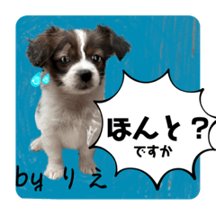 [LINEスタンプ] 「byりえ」さんのわんちゃんの癒される毎日