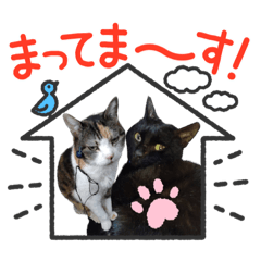 [LINEスタンプ] みいことヤマト