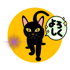 [LINEスタンプ] 目力にゃんこちゃんスタンプ