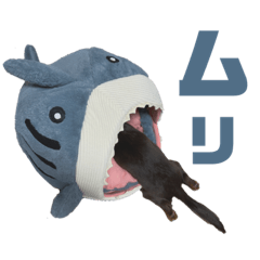 [LINEスタンプ] ロイたんの可愛すぎる日常。