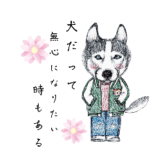 [LINEスタンプ] たちばなさん家のワンコ①