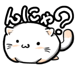 [LINEスタンプ] にゃんタロ〜ll