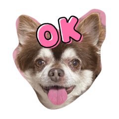 [LINEスタンプ] こてつの日常スタンプ（お仕事編）