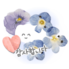 [LINEスタンプ] よく使う韓国語 押花ハングル 背景カラー