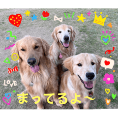 [LINEスタンプ] 桃＆福＆金