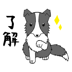 [LINEスタンプ] 日常会話で使えるボーダーコリー(ブラック)