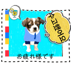 [LINEスタンプ] わんちゃんの癒される韓国語と日本語