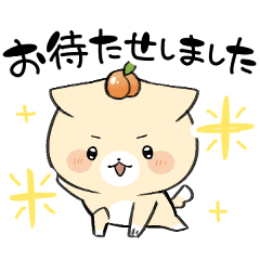 [LINEスタンプ] 猫？犬？毎日使える あんまるのスタンプ1