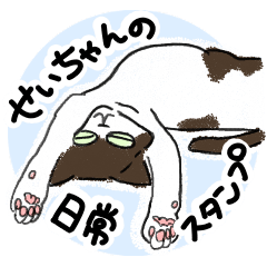 [LINEスタンプ] 猫のせいちゃんの日常スタンプ