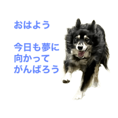 [LINEスタンプ] ポジティブに行こう