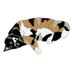 [LINEスタンプ] 三毛猫めめ