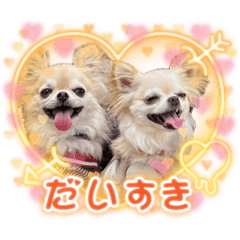 [LINEスタンプ] ロイ＆シェリ③