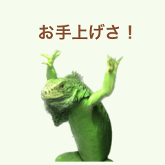 [LINEスタンプ] イグアナのオルフェ2023夏