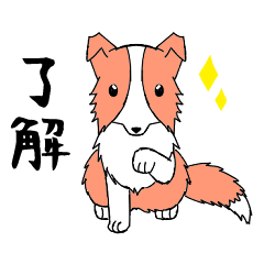 [LINEスタンプ] 日常会話で使えるボーダーコリー(レッド)