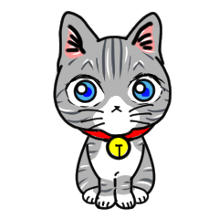 [LINEスタンプ] 泰ちゃんと猫。