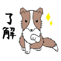 [LINEスタンプ] 日常会話で使えるボーダーコリー(チョコ)