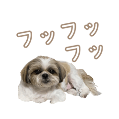 [LINEスタンプ] ラサのスタンプ