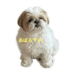 [LINEスタンプ] あぽろくんのすたんぷ。の画像（メイン）