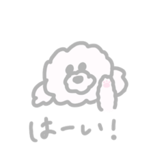 [LINEスタンプ] まっしろい犬