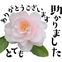 [LINEスタンプ] ありとあらゆる お仕事言葉の花スタンプ