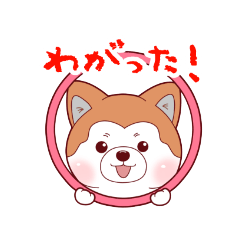 [LINEスタンプ] 秋田弁を話すあきたいぬ_日常会話編