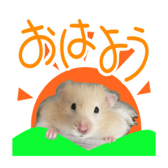 [LINEスタンプ] つぶここみにこ