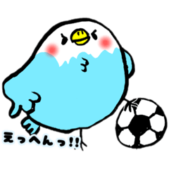 [LINEスタンプ] 仲良しインコくることそらこ