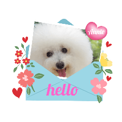 [LINEスタンプ] ♪Bichon Aniちゃん♪