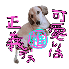 [LINEスタンプ] Mダックスらん＆うるら時々ねじ